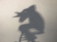 Küß den Frosch.