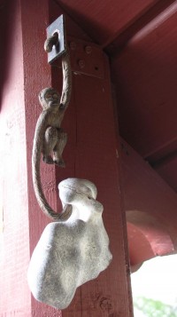 Affe